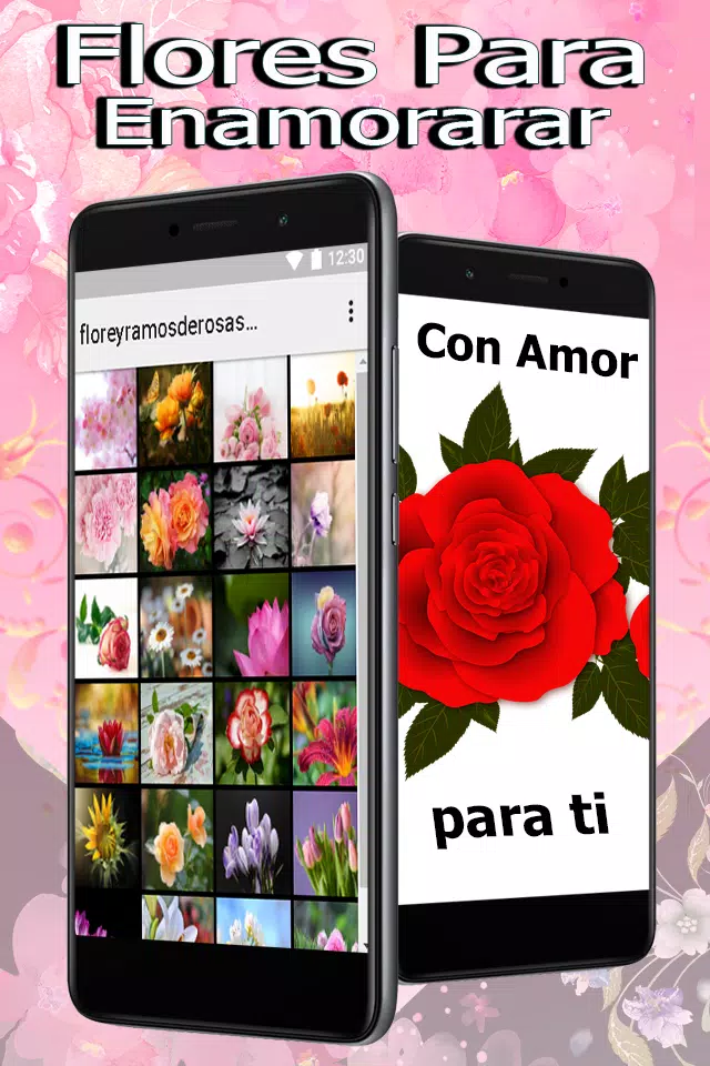 Flores y Ramos De Rosas Para Mi Novia Gratis APK for Android Download