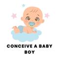 How To Conceive Baby Boy