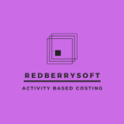 Redberrysoft Activity Based Co icône