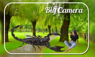 Big Camera تصوير الشاشة 2