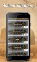 Animal Ringtones screenshot 3
