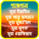 নূরানী পাঞ্জেগানা অজিফা শরীফ APK