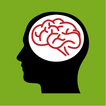 Brain Quizlet