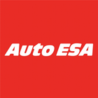 Auto ESA simgesi