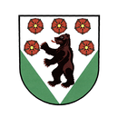 Brloh APK