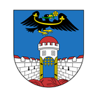 Dolní Bousov ícone