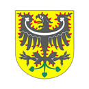 Zlonín APK