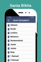 Biblia Viva (Português) 海报