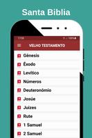 Bíblia (KJA) em Português Affiche