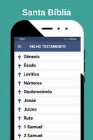 Biblia (NVI) Nova Versão Internacional (Português) โปสเตอร์