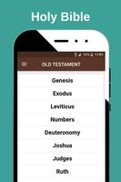 Holy Bible постер
