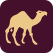Camel VPN Free Hotspot Unlimited Super Fast Proxy