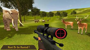 Wild Animal Hunting Games تصوير الشاشة 1