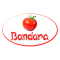 BANDORA
