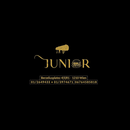 Pizza Junior APK