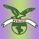 Pizza Punjabi APK