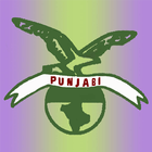 Pizza Punjabi icône