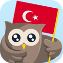 Learn Turkish for beginners APK