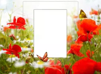 Photo Frames APK download