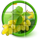 Fruits Puzzle APK