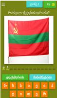 Guess the flags of the countri الملصق