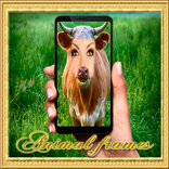 Animal frames - laugh with your friends