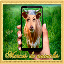 Montaje de marcos de animales - Ríe con tus amigos APK