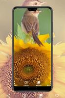sunflowers wallpapers capture d'écran 2