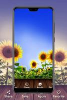 sunflowers wallpapers capture d'écran 3