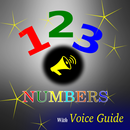 Numbers - Voice Guide APK