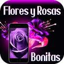 Rosas y Flores Naturales y Hermosas Gratis HD APK