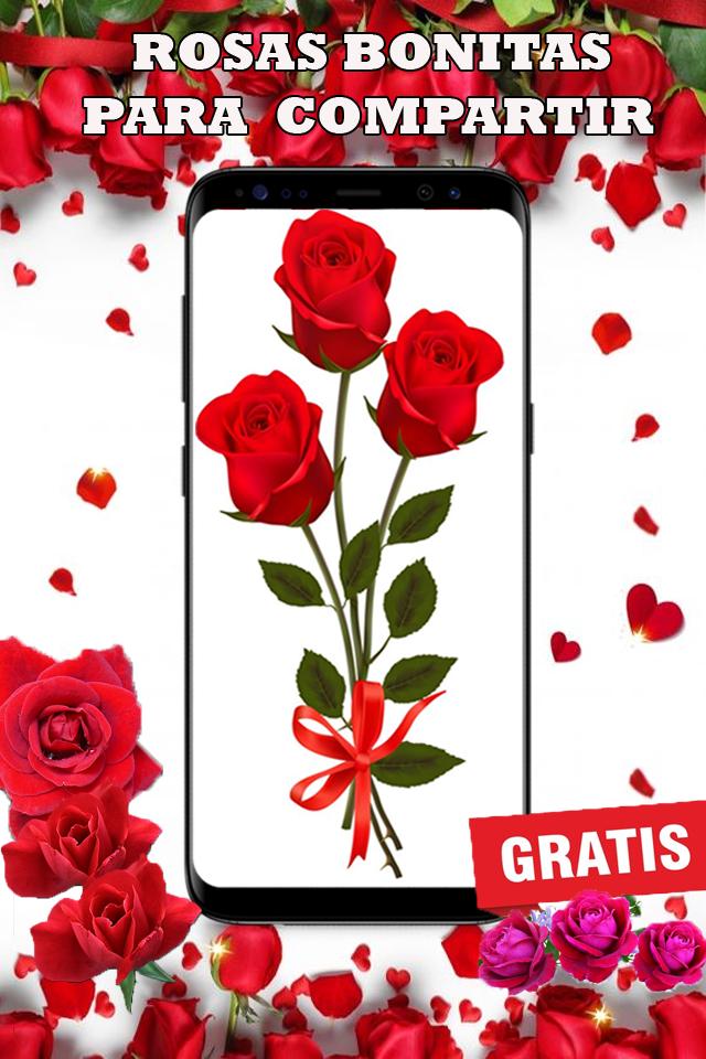 Rosas Hermosas Gratis Para Enamorar APK للاندرويد تنزيل Rosas Hermosas Gratis Para Enamorar APK للاندرويد تنزيل