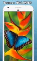 Butterfly Wallpapers پوسٹر