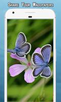 Butterfly Wallpapers اسکرین شاٹ 1