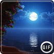 Good Night GIF biểu tượng