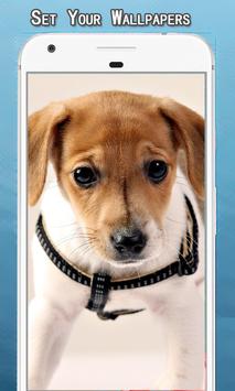Cute Puppy Dog Wallpapers Hd For Android Apk Download