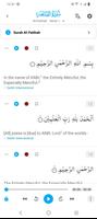 HOLY QURAN - القرآن الكريم‎ ảnh chụp màn hình 3