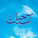 Aab e Hayat Urdu Novel APK