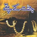Jannat k Pattay Urdu Novel APK
