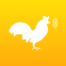 Chicken Sounds & Clucking APK