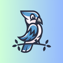 Blue Jays Sounds & Noises APK