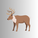 Reindeer-Caribou Sound & Calls APK