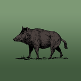 Wild Hog Sounds иконка