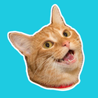 Stickr: Sticker Maker أيقونة