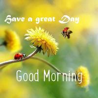 Good Morning Ekran Görüntüsü 3