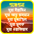 নুরানী পাঞ্জেগানা(সুরা ইয়াসিন, সুরা আর রহমান..)