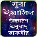 সুরা ইয়াসিন তাফসীর ~ Tafsirul quran APK