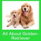 All About Golden-Retriever icône
