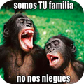 Imagenes Chistosas Con Frases Para Compartir