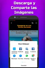 Imagenes Chistosas Con Frases Para Compartir アプリダウンロード